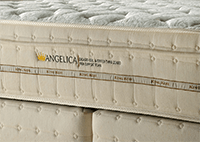 Produto Angelica 3