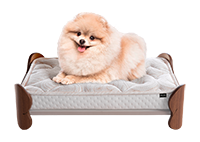 Produto KingPet 1