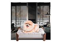 Produto KingPet 4