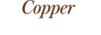 Logo Copper memory foam